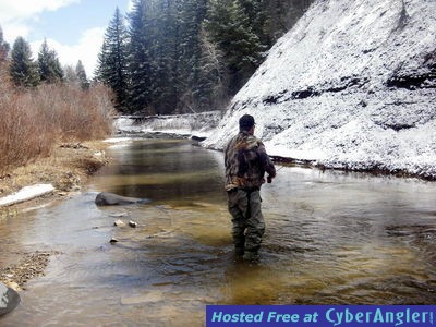 Click to Enlarge Photo