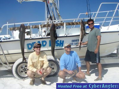 Click to Enlarge Photo