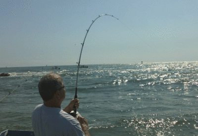 Click to Enlarge Photo