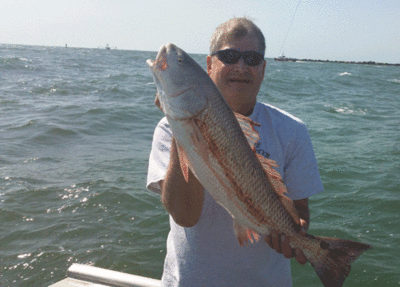 Click to Enlarge Photo