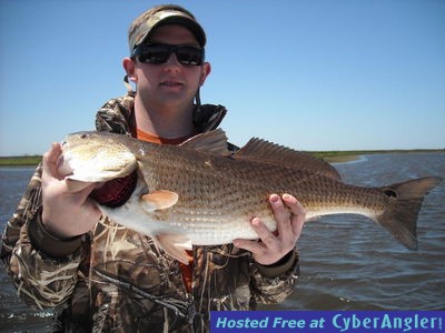 Click to Enlarge Photo