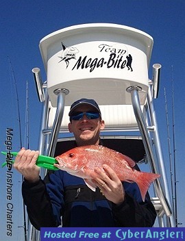 Click to Enlarge Photo