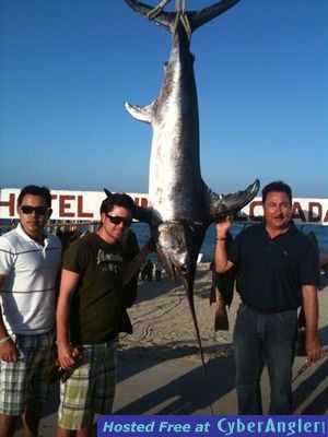 Click to Enlarge Photo