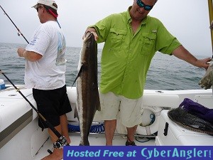 Click to Enlarge Photo