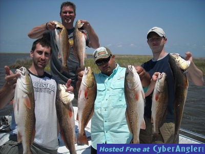 Click to Enlarge Photo