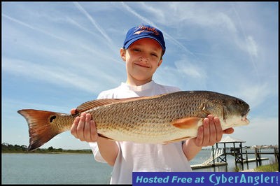 Click to Enlarge Photo