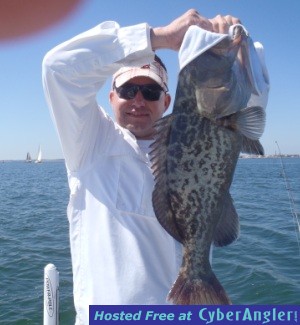 Click to Enlarge Photo