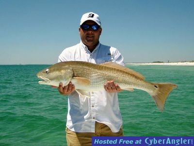 Click to Enlarge Photo