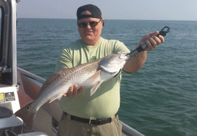 Click to Enlarge Photo