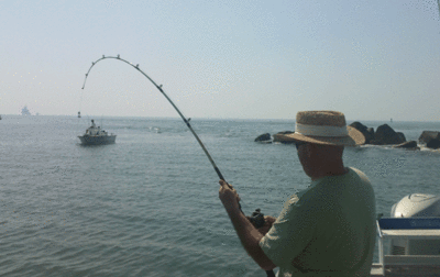 Click to Enlarge Photo