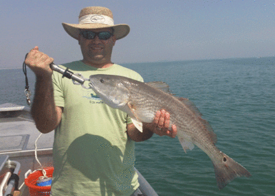 Click to Enlarge Photo