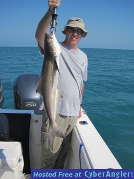 Click to Enlarge Photo