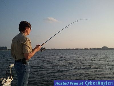 Click to Enlarge Photo