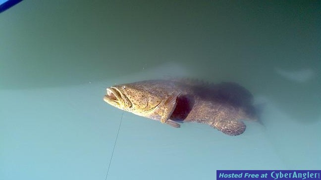 Click to Enlarge Photo