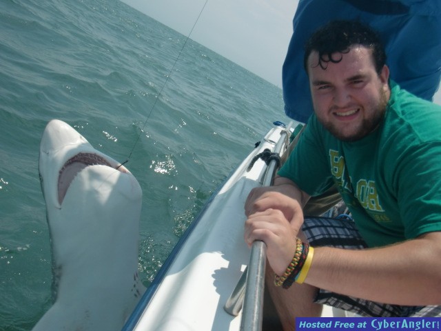 [Image: watermark.php?file=21589&size=1]