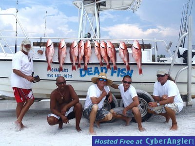 Click to Enlarge Photo