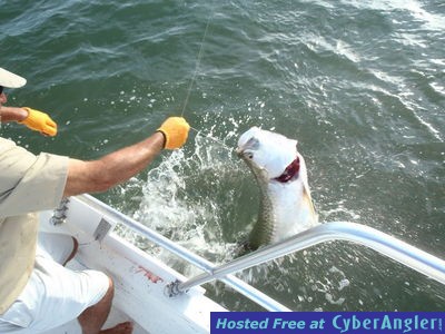 Click to Enlarge Photo