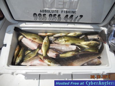 Click to Enlarge Photo