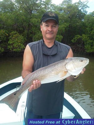 Click to Enlarge Photo