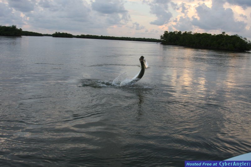 Click to Enlarge Photo