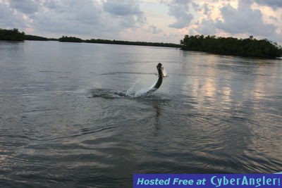 Click to Enlarge Photo