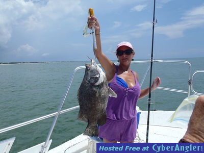 Click to Enlarge Photo