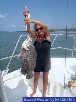 Click to Enlarge Photo