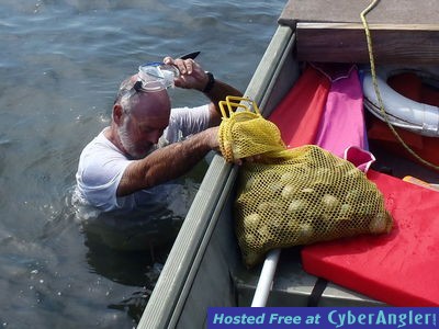 Click to Enlarge Photo