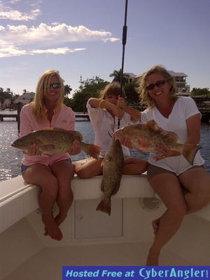 Click to Enlarge Photo