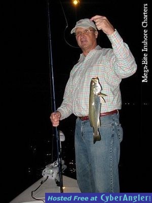 Click to Enlarge Photo