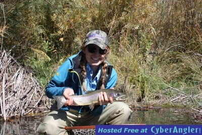 Click to Enlarge Photo