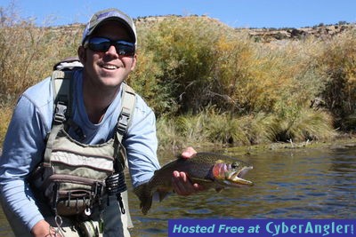 Click to Enlarge Photo