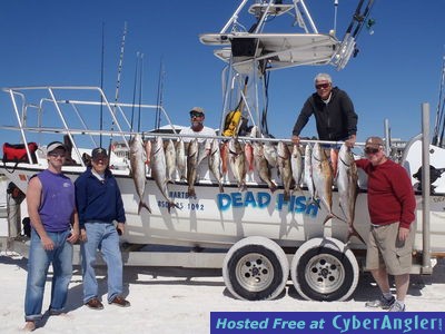 Click to Enlarge Photo