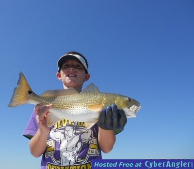 Click to Enlarge Photo