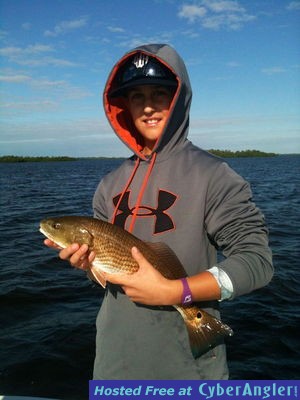 Click to Enlarge Photo