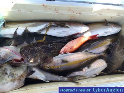 Click to Enlarge Photo