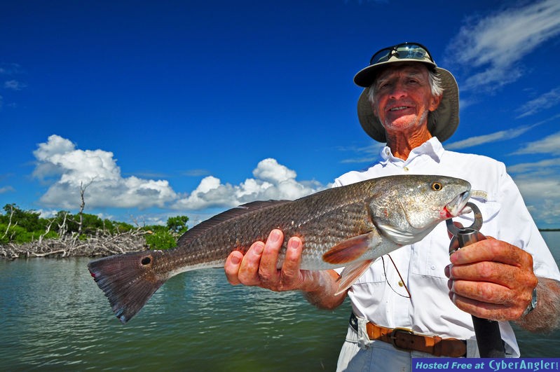 Click to Enlarge Photo