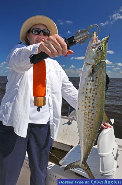 Click to Enlarge Photo