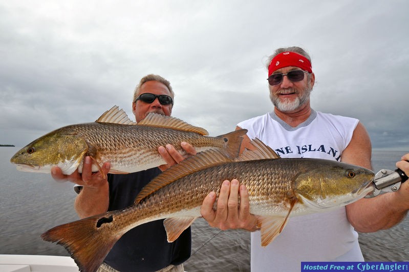 Click to Enlarge Photo