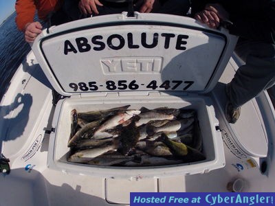 Click to Enlarge Photo