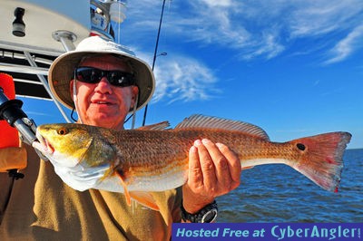 Click to Enlarge Photo