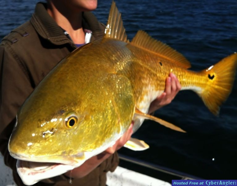 Click to Enlarge Photo