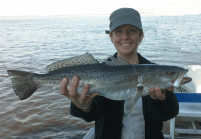 Click to Enlarge Photo