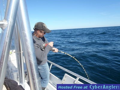 Click to Enlarge Photo