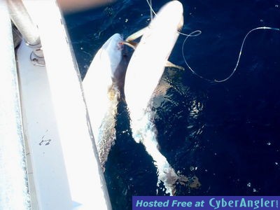 Click to Enlarge Photo