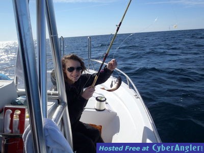 Click to Enlarge Photo