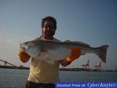 Click to Enlarge Photo