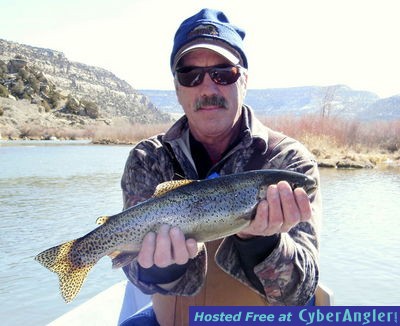 Click to Enlarge Photo