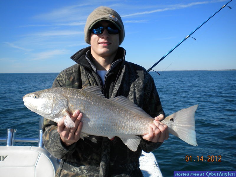 Click to Enlarge Photo