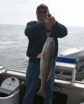 Click to Enlarge Photo